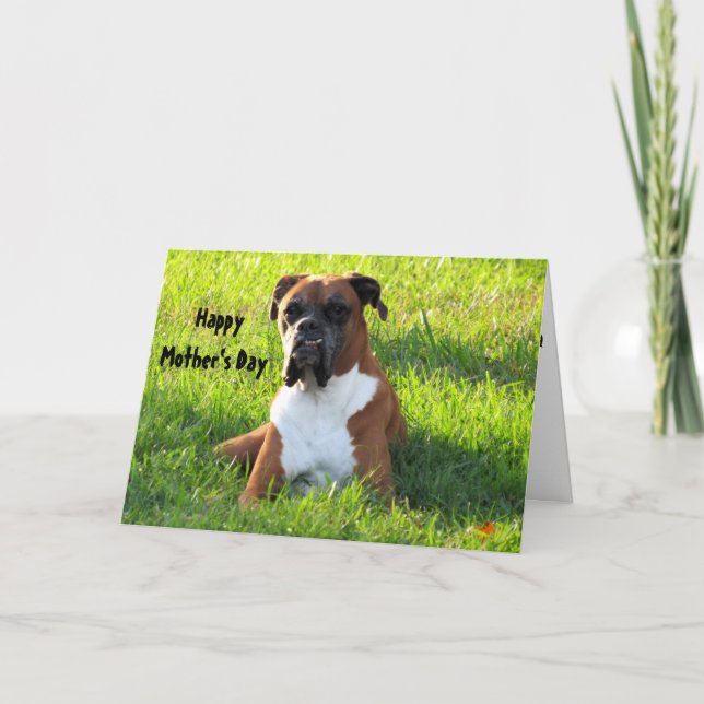 Happy Mother's Day ...  Boxer Dog Card (Front)