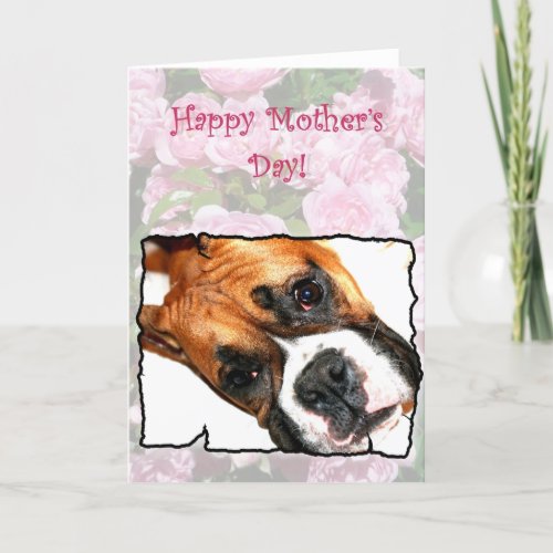 Happy Mothers day boxer dog greeting card