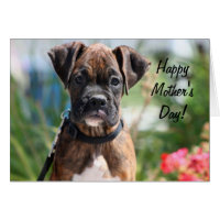 Happy Mother's day boxer greeting card