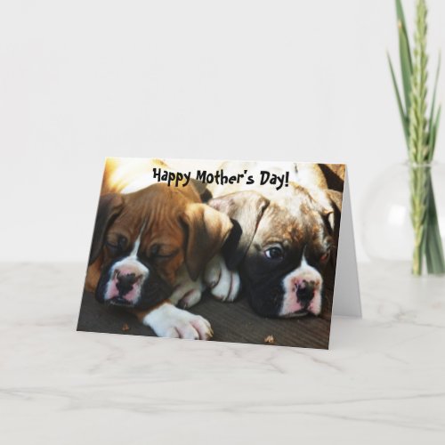 Happy Mothers Day Boxer puppies greeting card