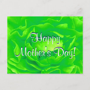 Happy Mother's Day Bright Green Rose Postcard