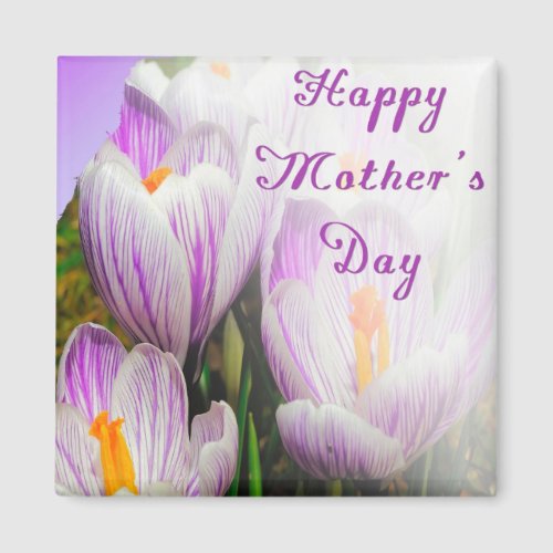 Happy Mothers Day Bright Purple and White Tulips Magnet