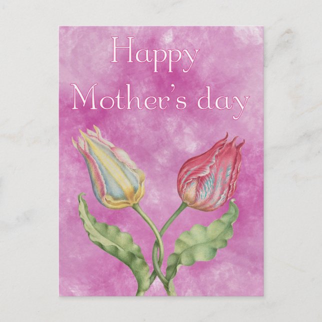 Happy Mother's Day Bright Red and Yellow Tulips Postcard (Front)