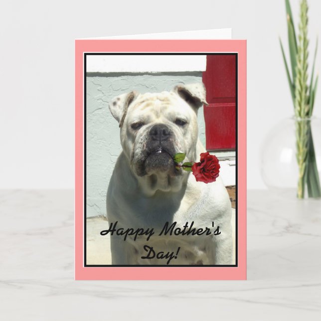 Happy Mother's Day bulldog greeting card (Front)
