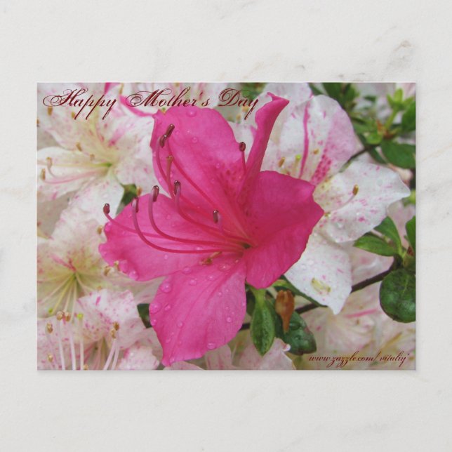 Happy Mother's Day card (Front)