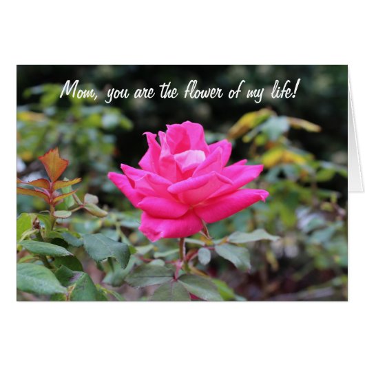 Happy mother's day cards (Front Horizontal)