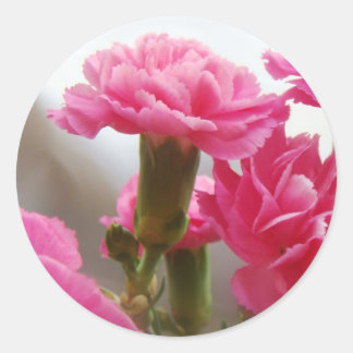 Happy Mother's Day - Carnation Classic Round Sticker