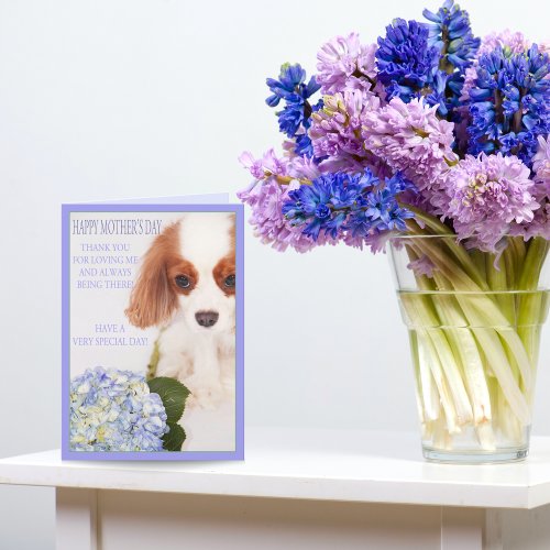 Happy Mothers Day Cavalier With Hydrangea Card