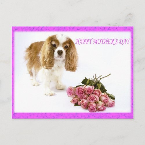 Happy Mothers Day Cavalier With Rose Bouquet Postcard