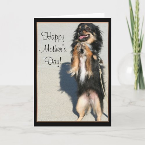 Happy Mothers Day Chihuahua Greeting Card