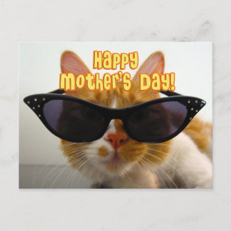 Happy Mother's Day Cool Cat in Sunglasses Postcard