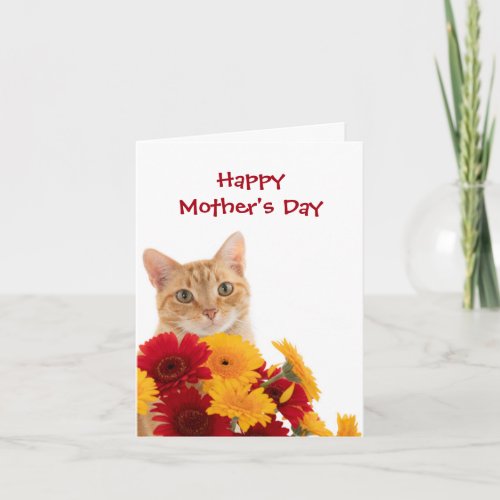 Happy Mothers Day Cute Cat greeting card
