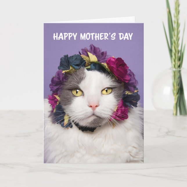 Happy Mother's Day Cute Cat in Flower Crown Humor Holiday Card (Front)