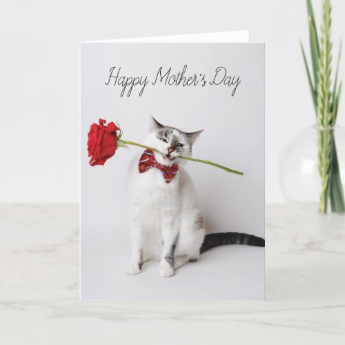 Happy Mothers Day cute cat with yellow flowers Ca Thank You Card