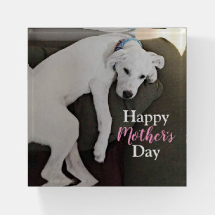 Happy Mother's Day Cute Sleepy White Puppy Dog  Paperweight