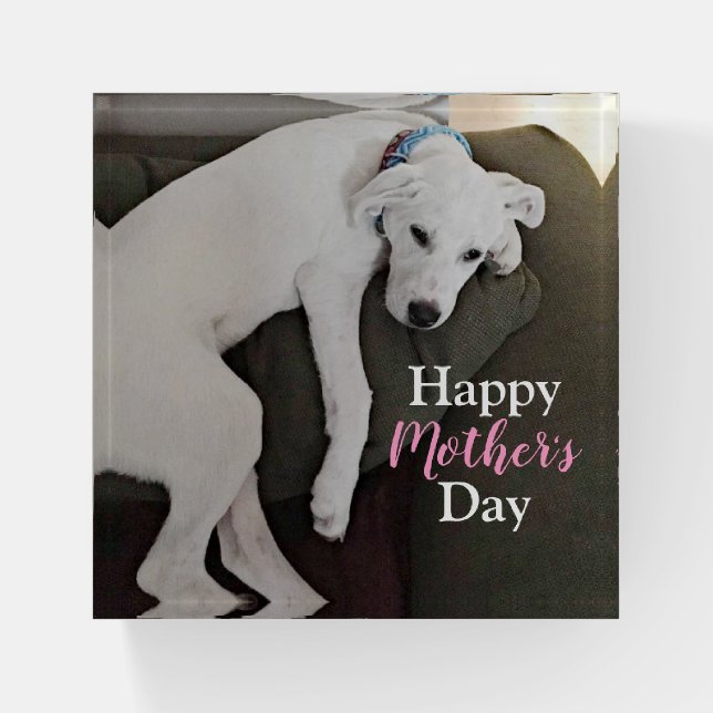Happy Mother's Day Cute Sleepy White Puppy Dog  Paperweight (Front)