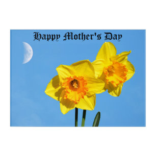 Happy Mother's Day Daffodils Gold Medal flowers Acrylic Print