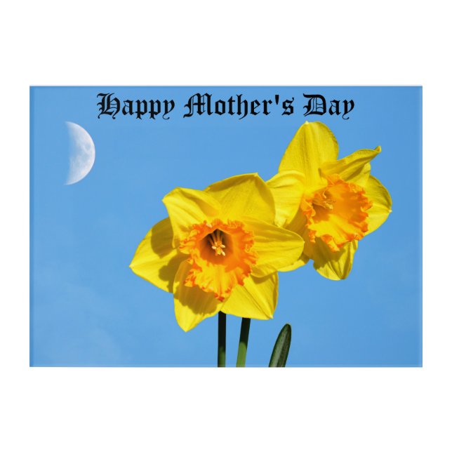 Happy Mother's Day Daffodils Gold Medal flowers Acrylic Print (Front)