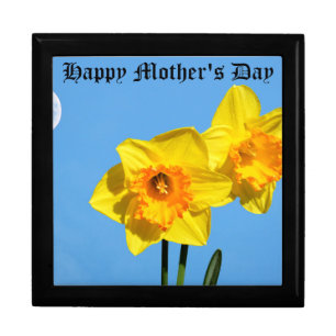 Happy Mother's Day Daffodils Gold Medal flowers  Gift Box