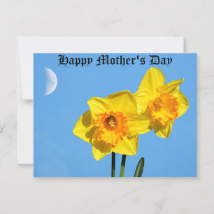 Happy Mother's Day Daffodils Gold Medal flowers  Postcard
