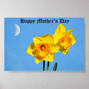 Happy Mother's Day Daffodils Gold Medal flowers  Poster