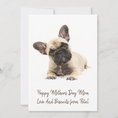 Happy Mothers Day Dog Photo Holiday Card