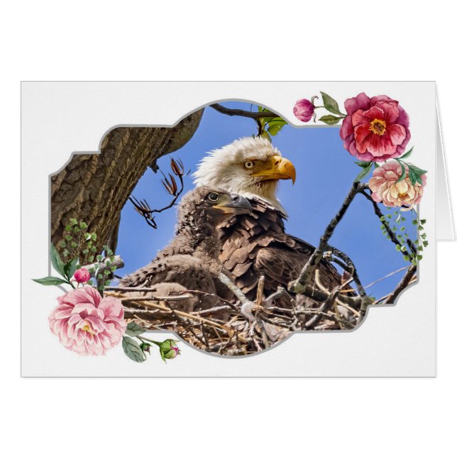 Happy Mother's Day, Eagles Cards (Front Horizontal)
