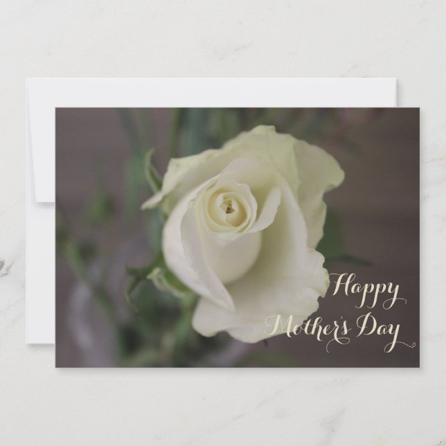 Happy Mother's Day Elegant White Rose Card (Front)