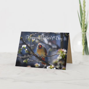 Happy Mother's Day Female Cardinal in Flowering Tr Card