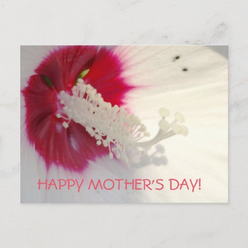 Happy Mothers Day Floral Postcard