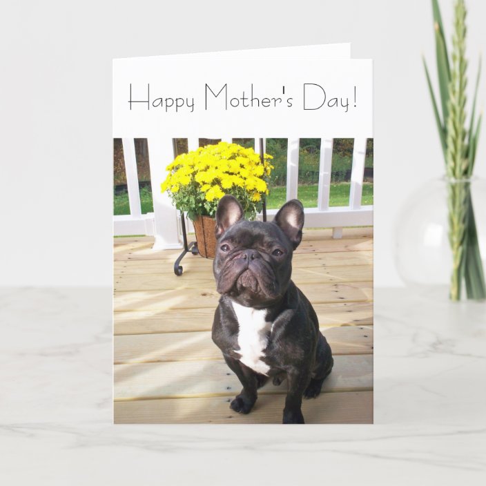 Stationery Party Supplies French Bulldog Happy Mothers Day Greeting Card Stationery Baikal Store Com