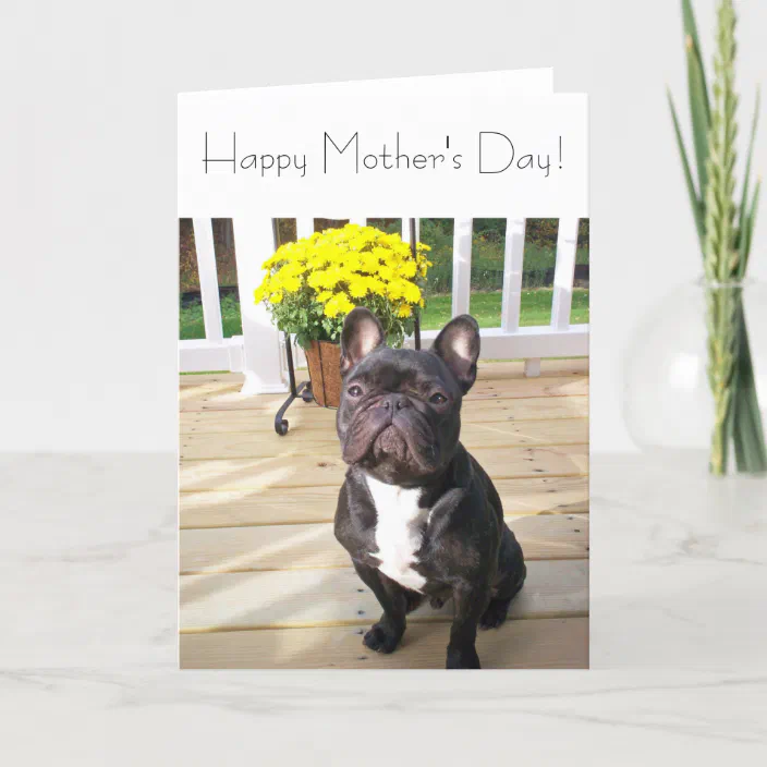 Happy Mother S Day French Bulldog W Flowers Card Zazzle Com