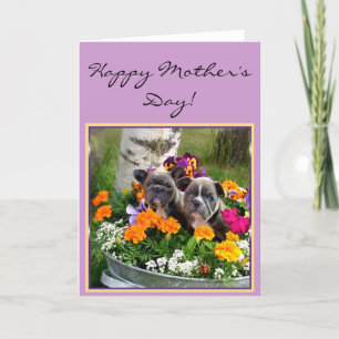 Happy Mother's day French bulldogs greeting card