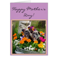 Happy Mother's day French bulldogs greeting card