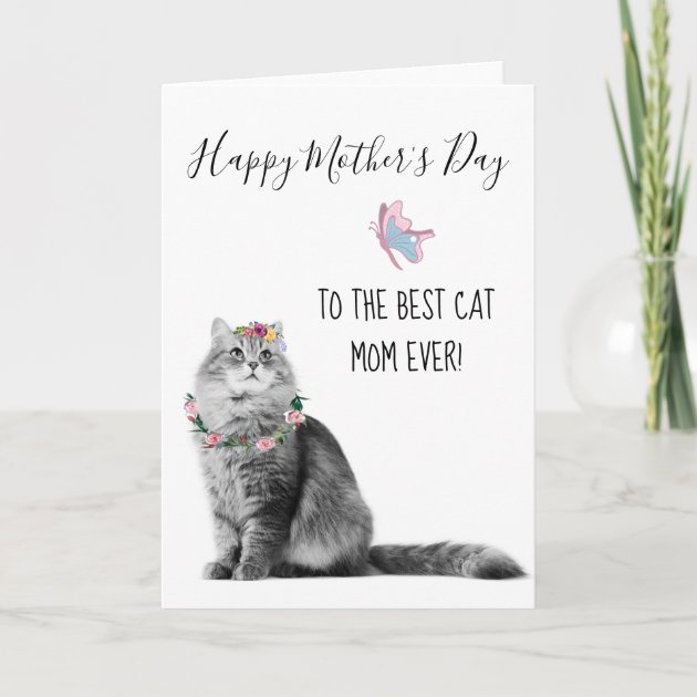 cat mom mother's day