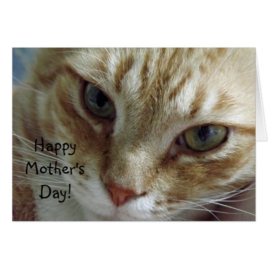 Happy Mother's Day from Cat Card | Zazzle.com