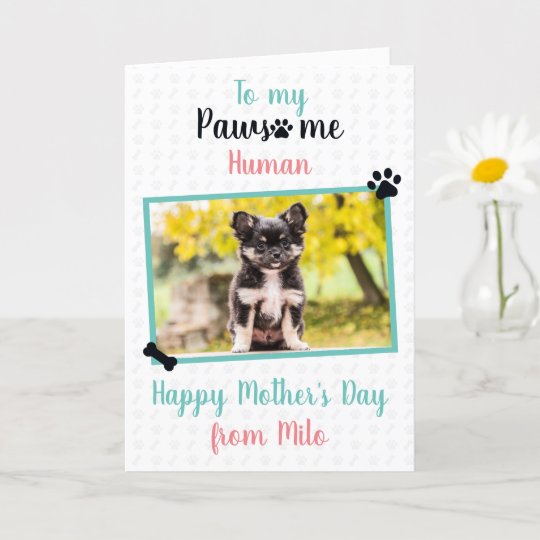 Happy Mother's Day from Dog to Pawsome Mom Card | Zazzle.com