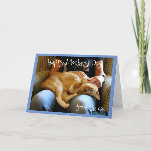 Happy Mothers Day from the Cat Card