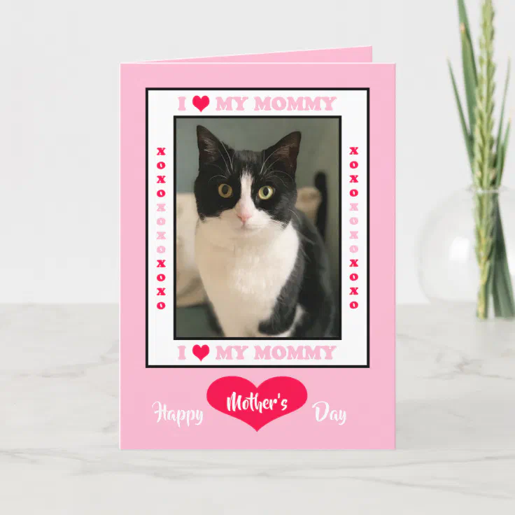 Happy Mother's Day from the Cat Card -- Your Photo | Zazzle