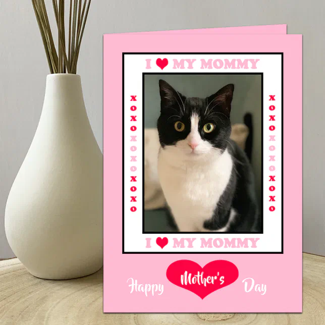 Happy Mother's Day from the Cat Card -- Your Photo | Zazzle