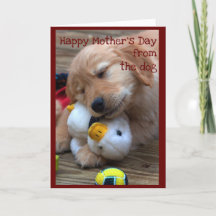 Happy Mother's Day from the Dog