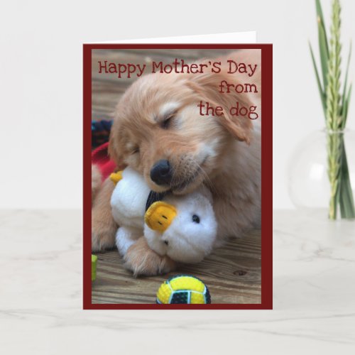Happy Mothers Day from the Dog Card