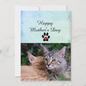 Happy Mother's Day From Your Cats Flat Card | Zazzle