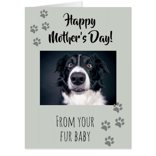 Happy Mothers Day from your Fur Baby Dog Cat Card