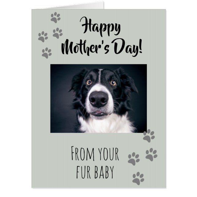Happy Mother's Day from your Fur Baby Dog Cat Card (Front)
