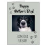 Happy Mother's Day from your Fur Baby Dog Cat Card