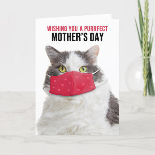 Happy Mother's Day Funny Cat in Covid Face Mask Holiday Card