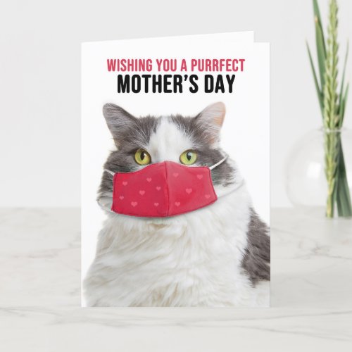 Happy Mothers Day Funny Cat in Covid Face Mask  Holiday Card