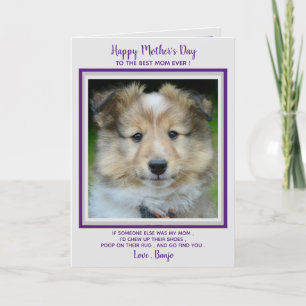 Happy Mother's Day- Funny Cute Dog Mom - Pet Photo Letterpress Thank You Card