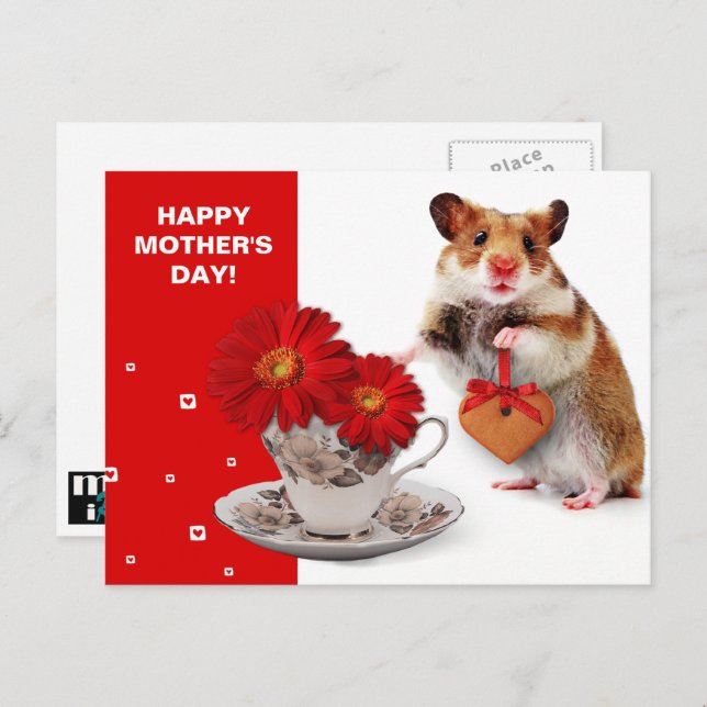 Happy Mother's Day. Funny Hamster  Postcard (Front/Back)
